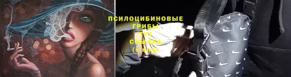 каннабис Корсаков