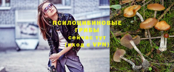 каннабис Корсаков
