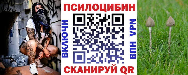 Купить где  Петухово  Псилоцибиновые грибы Magic Shrooms 